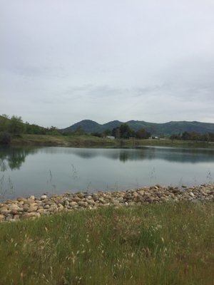 Avocado Lake Park by null