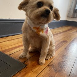 Misty's Grooming and Boutique - She look pretty