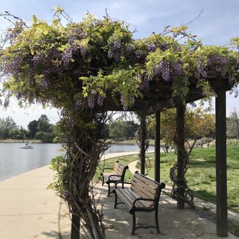 Lake Balboa/Anthony C. Beilenson Park - Wisteria covered canopy looking out to the lake. - Parks Near Me - Van Nuys, California Lake Balboa/Anthony C. Beilenson Park - Wisteria covered canopy looking out to the lake. - Parks Near Me - Van Nuys, California