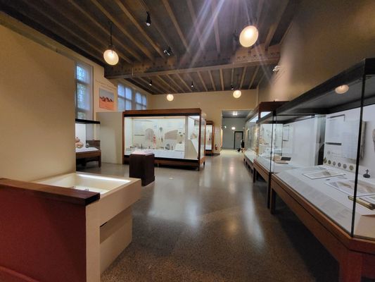Institute for the Study of Ancient Cultures Museum by null