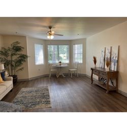 West Shores - Larger living room apartment
