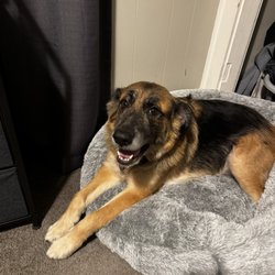 Greystone Veterinary Hospital