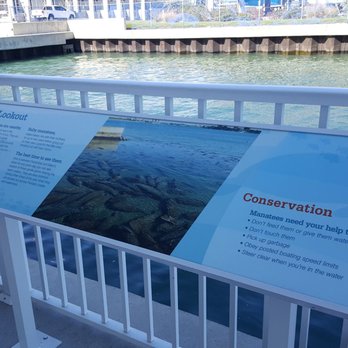 Manatee Lagoon - Aquariums Near Me - West Palm Beach, Florida Manatee Lagoon - Aquariums Near Me - West Palm Beach, Florida