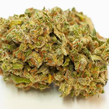 Organic Alternatives - Cannabis Clinics Near Me - Fort Collins, Colorado Organic Alternatives - Cannabis Clinics Near Me - Fort Collins, Colorado