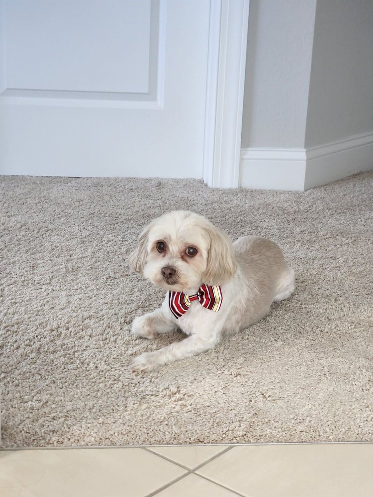 Reviews of ACREDALE ANIMAL HOSPITAL Updated September 2024 23