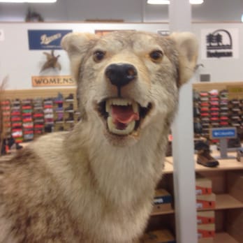 Sportsman's Warehouse - Guns & Ammo Near Me - Chattanooga, Tennessee
