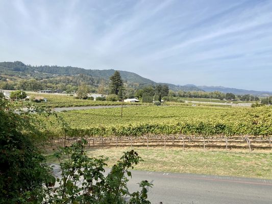 Papapietro Perry Winery by null