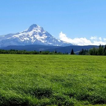 Hood River County Fruit Loop - Mt. Hood - Tours Near Me - Hood River, Oregon Hood River County Fruit Loop - Mt. Hood - Tours Near Me - Hood River, Oregon