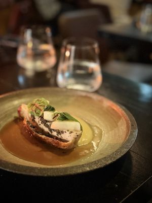 Stubborn Seed - Miami Beach by null