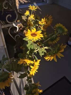 Southall Farm & Inn Farmstand by null