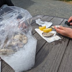 Shucking our own oysters on their patio. They lent us a shucking tool