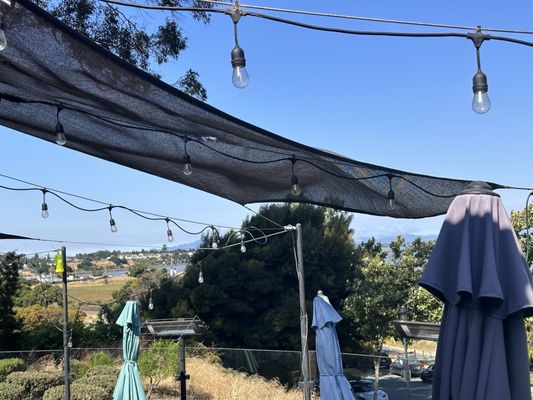 Leila by the Bay by null