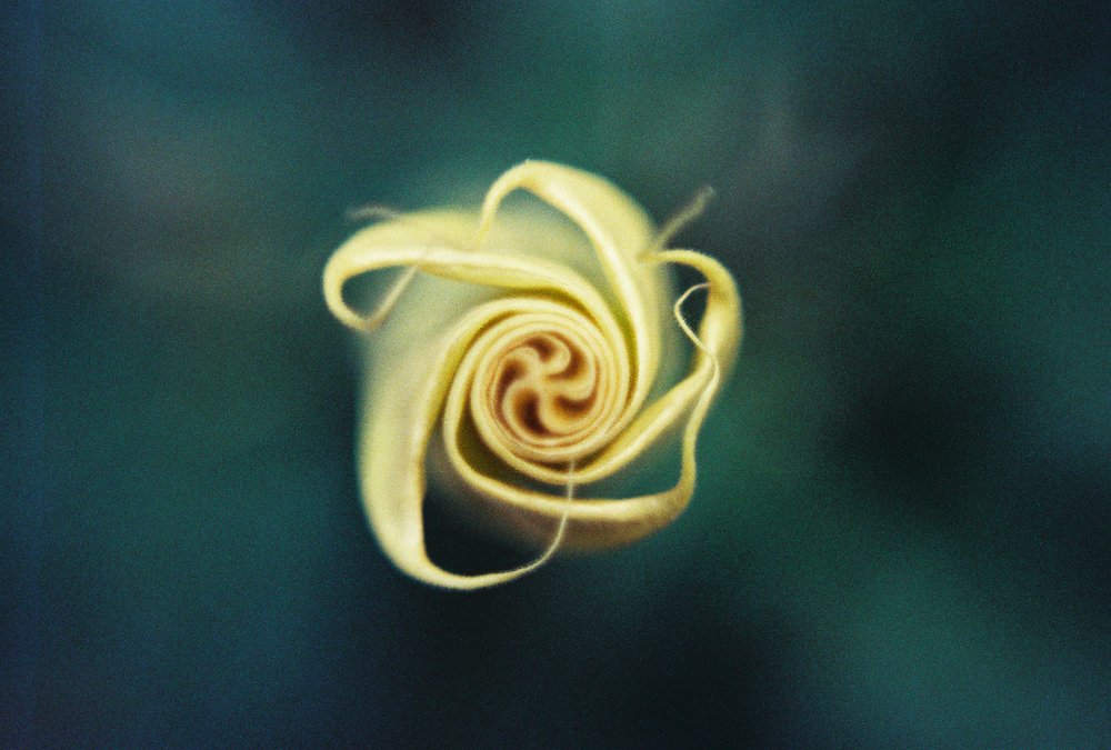 HIGH MOUNTAIN CLASSICAL ACUPUNCTURE Updated June 2024 1629 York St