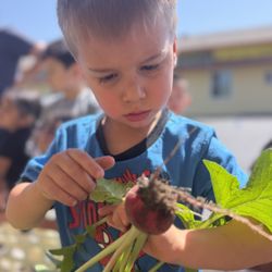 Sierra Preschool & After School - Gardening