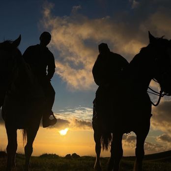 Paniolo Adventures - Horseback Riding Near Me