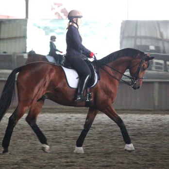 North Peak Equestrian - Indoor arena with high performance footing, wall to wall mirrors at the end and excellent lighting for evening riding. - Horseback Riding Near Me - Walnut Creek, California