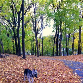 Fresh Pond - Parks Near Me - Cambridge, Massachusetts
