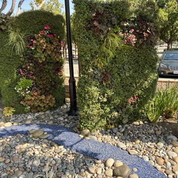 Reflections Garden - Living walls - Botanical Gardens Near Me - San Jose, California