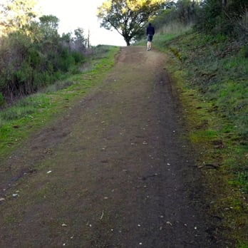 Picchetti Ranch Open Space Preserve - First incline. - Parks Near Me - Cupertino, California Picchetti Ranch Open Space Preserve - First incline. - Parks Near Me - Cupertino, California