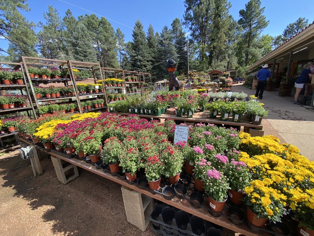 PLANT FAIR NURSERY Updated June 2024 11 Reviews 3497 Arizona Hwy