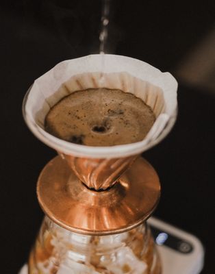 The Boy & The Bear - Gardena by null