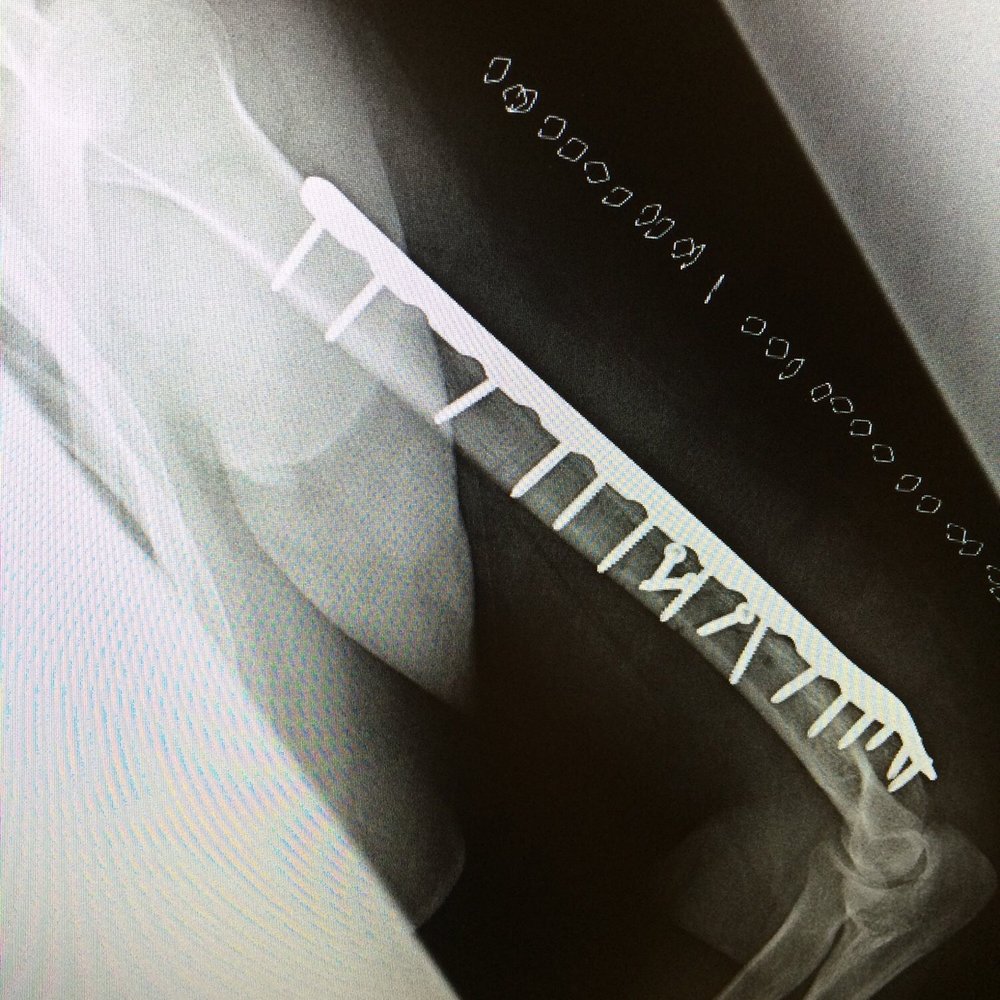 TOP 10 BEST Orthopedists in Solano County, CA - Updated 2026 - Yelp