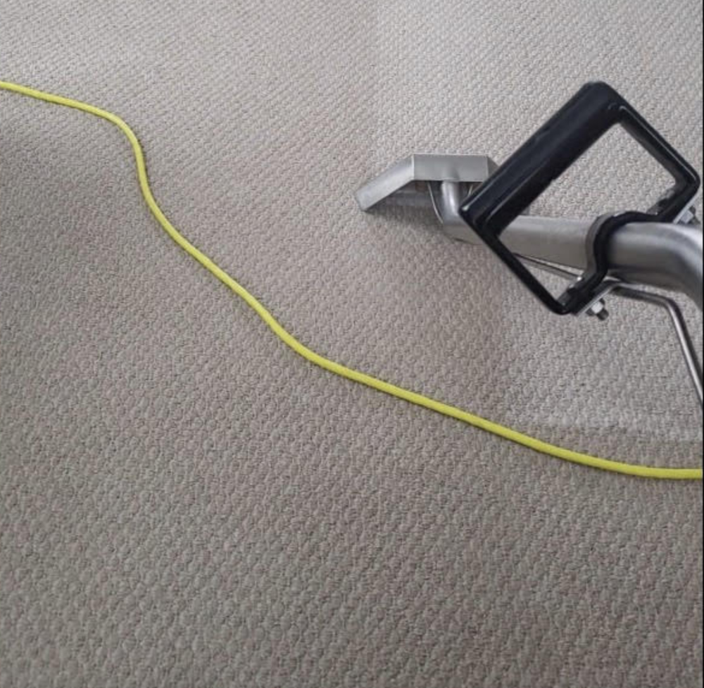 STEAM CHOICE CARPET CARE 13 Photos Mount Prospect, Illinois