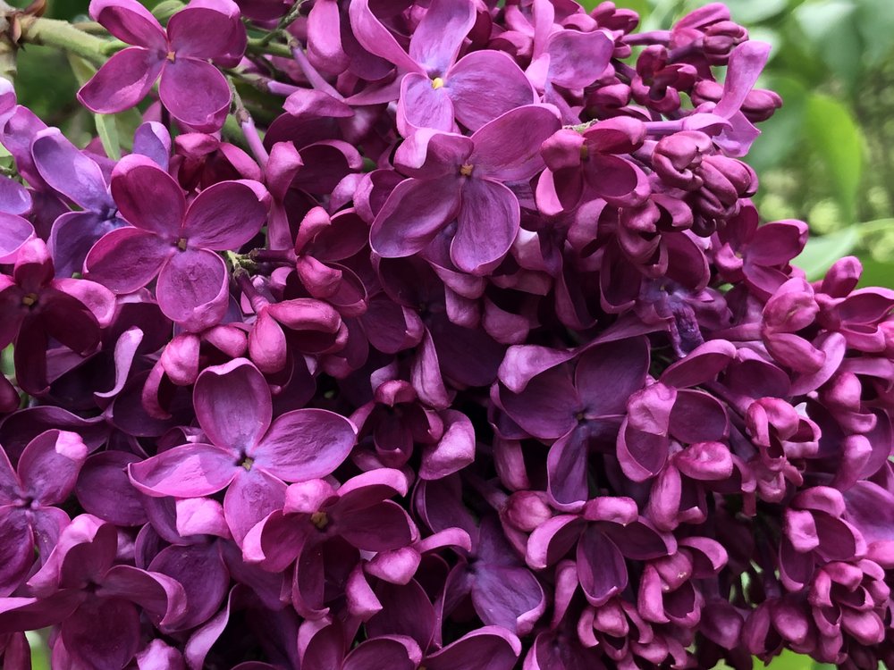 ARNOLD HOUSE NURSING HOME Updated October 2024 10 Photos 490