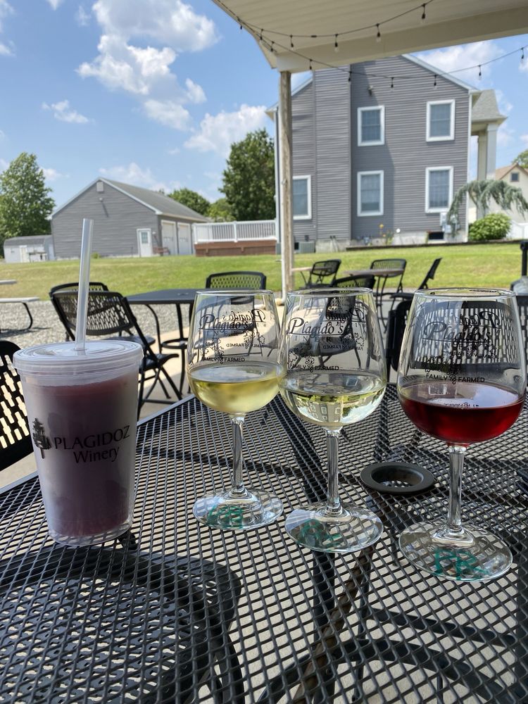 Plagido's Winery - vineyard in Hammonton, NJ