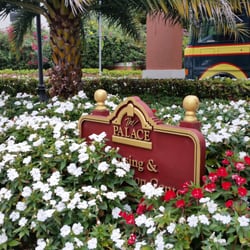 Palace Nursing & Rehab Center - Nice landscaping everywhere
