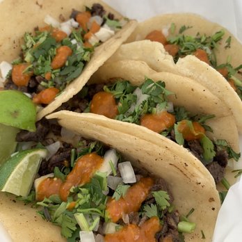 El Tacolgando - Steak tacos are fire! - Tacos Near Me - Tampa Bay, Florida