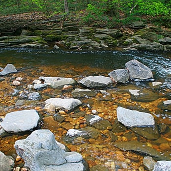 Dora Kelley Nature Park - Parks Near Me - Alexandria, Virginia