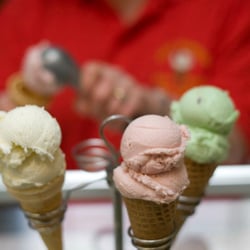Great Budworth Ice Cream Farm