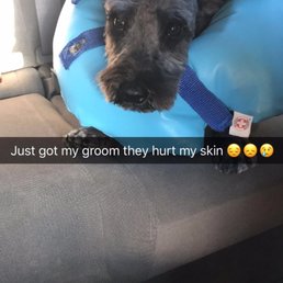 This is the worst grooming experience I ever had! It was terrible , they blame my dog of chewing and hurt himself which isn't true !
