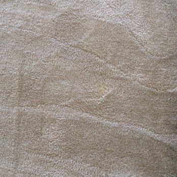 Simba Carpet Cleaning Services - After Cleaning - Home Cleaning Near Me - Dumfries, Virginia