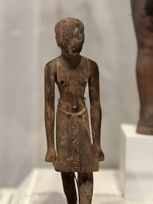 San Antonio Museum of Art by null