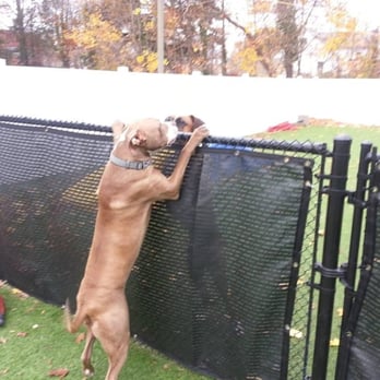 All American Pet Resorts - Pet Groomers Near Me - North Brunswick, New Jersey