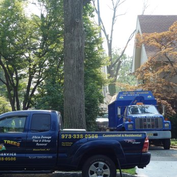 Happy Trees By MGM - Tree Services Near Me - Bloomfield, New Jersey Happy Trees By MGM - Tree Services Near Me - Bloomfield, New Jersey