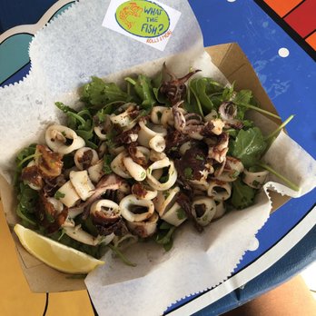 What The Fish Rolls - Calamari salad - Seafood Near Me - Tavernier, Florida What The Fish Rolls - Calamari salad - Seafood Near Me - Tavernier, Florida