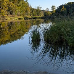 Calvert Cliffs State Park
