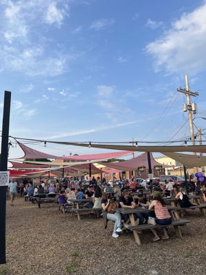 Medusa Brewing Company by null