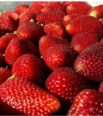 Howie's Market by null