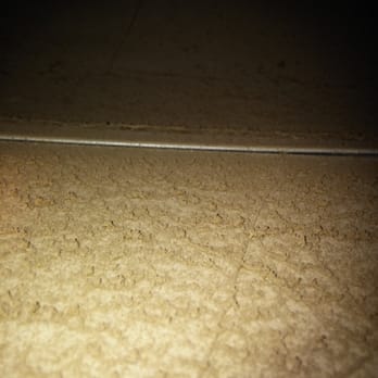 Top Dog Cleaning Crew - After they cleaned. - Carpet Cleaning Near Me Top Dog Cleaning Crew - After they cleaned. - Carpet Cleaning Near Me