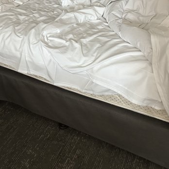 Hilton Vancouver Metrotown - Lack of bedding. - Hotels Near Me - Burnaby, British Columbia Hilton Vancouver Metrotown - Lack of bedding. - Hotels Near Me - Burnaby, British Columbia