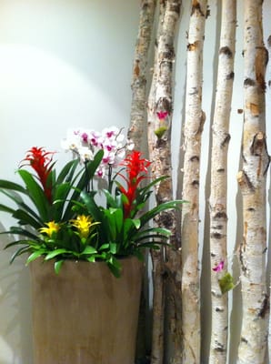 Pure Organic Spa by null