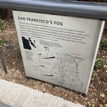 Salesforce Park - Parks Near Me - San Francisco, California Salesforce Park - Parks Near Me - San Francisco, California