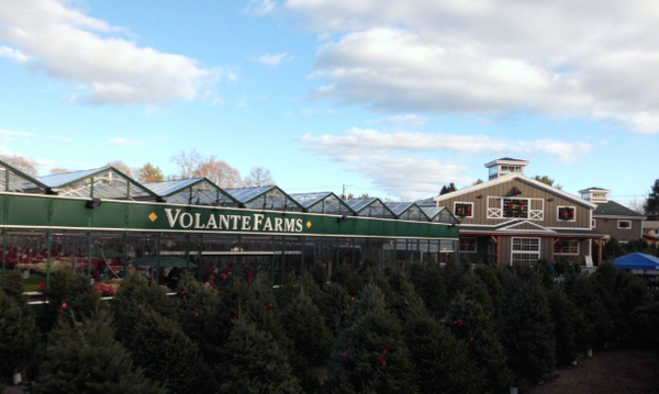 Volante Farms by null
