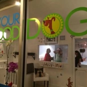 Your Good Dog - Pet Training Near Me - Key Biscayne, Florida Your Good Dog - Pet Training Near Me - Key Biscayne, Florida