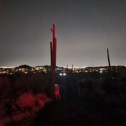 Another view of the Tucson city lights from Sabino Canyon! Pictures don't do it justice.