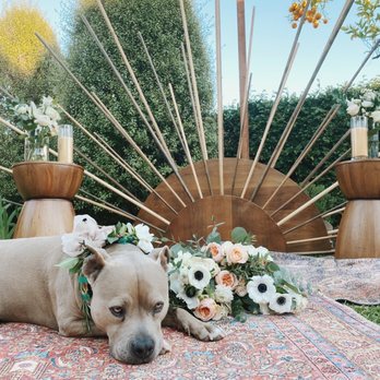Sundrop Vintage - Sunburst, rugs - Party Equipment Rentals Near Me - San Clemente, California Sundrop Vintage - Sunburst, rugs - Party Equipment Rentals Near Me - San Clemente, California